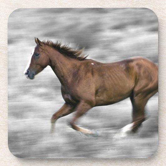 Laufendes Pferd Untersetzer (Vorderseite)