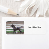 Laufendes Proud-Label (Insitu)