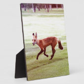 laufendes rotes Fuchs-Foto Fotoplatte (Seite)