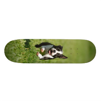 Laufendes Skateboard Bostons