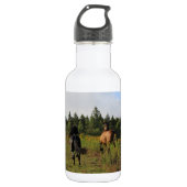 Laufendes wildes edelstahlflasche (Vorderseite)