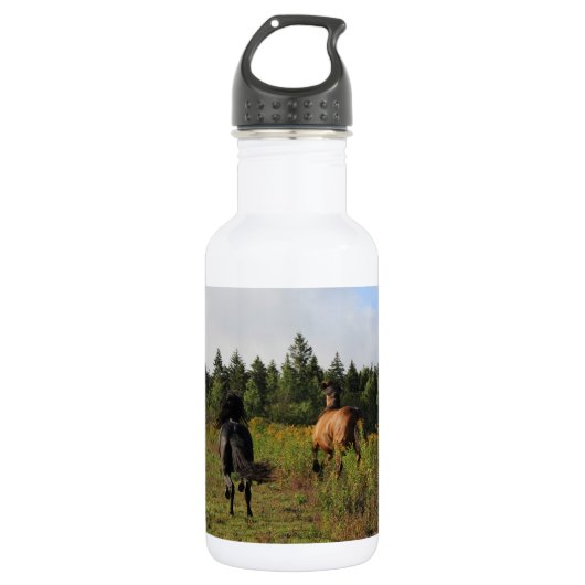 Laufendes wildes edelstahlflasche (Vorderseite)