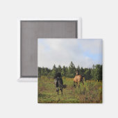 Laufendes wildes magnet (Vorderseite/Rückseite)