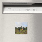 Laufendes wildes magnet (In Situ (Geschirrspüler))