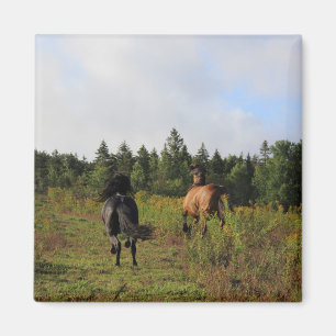 Laufendes wildes magnet