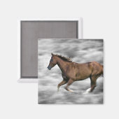 Laufpferd Magnet (Vorderseite/Rückseite)