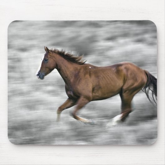 Laufpferd Mousepad (Vorne)