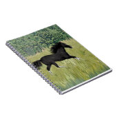 Laufpferd Notizblock (Rechte Seite)