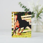 Laufpferd Postkarte (Stehend Vorderseite)