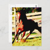 Laufpferd Postkarte (Vorne/Hinten)