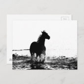 Laufpferd Postkarte (Vorne/Hinten)