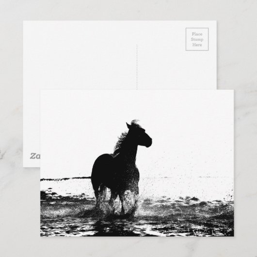 Laufpferd Postkarte (Vorne/Hinten)