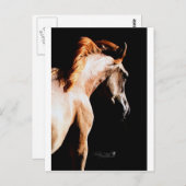 Laufpferd Postkarte (Vorne/Hinten)