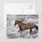 Laufpferd Postkarte (Vorne/Hinten)