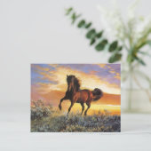 Laufpferd Postkarte (Stehend Vorderseite)