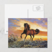 Laufpferd Postkarte (Vorne/Hinten)