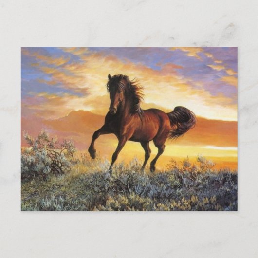 Laufpferd Postkarte (Vorderseite)