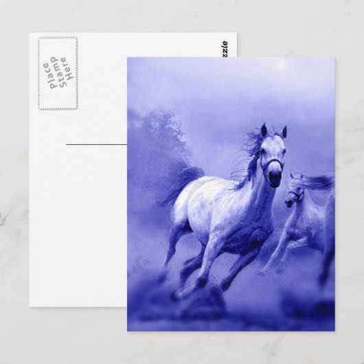 Laufpferd Postkarte (Vorne/Hinten)