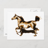 Laufpferd Postkarte (Vorne/Hinten)
