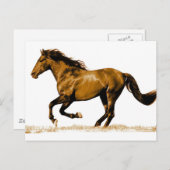 Laufpferd Postkarte (Vorne/Hinten)