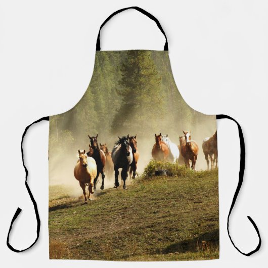Laufpferde auf der Ranch von Montana Schürze (Vorderseite)