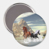 Laufpferde Magnet (Vorderseite/Rückseite)