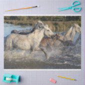 Laufpferde Seidenpapier (Basteln)