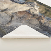 Laufpferde Sherpadecke (3/4)