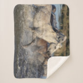 Laufpferde Sherpadecke (Vorderseite)