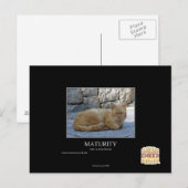 Laufzeit Postkarte (Vorne/Hinten)