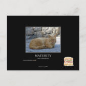 Laufzeit Postkarte (Vorderseite)