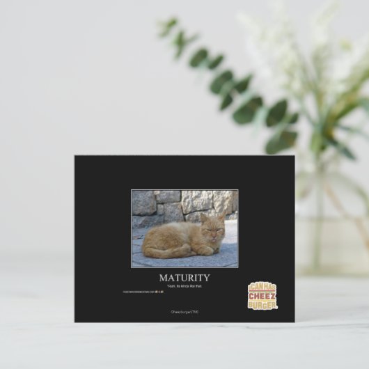 Laufzeit Postkarte (Stehend Vorderseite)