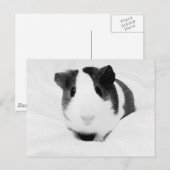 laugen postkarte (Vorne/Hinten)