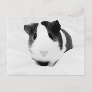 laugen postkarte