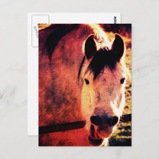 Laugh Postkarte (Vorne/Hinten)