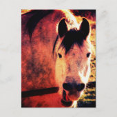 Laugh Postkarte (Vorderseite)