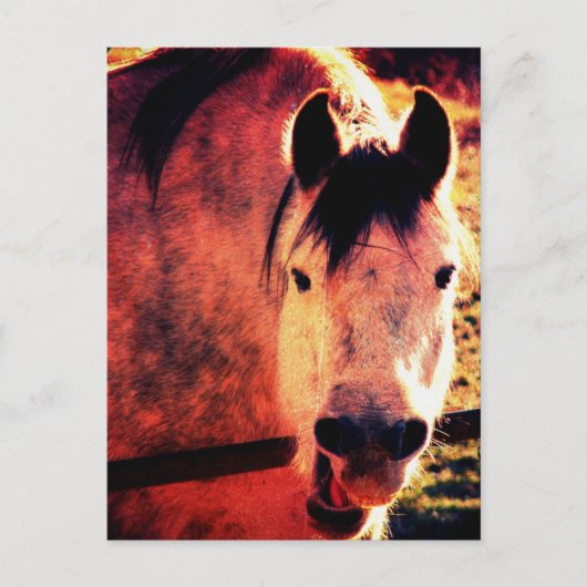 Laugh Postkarte (Vorderseite)