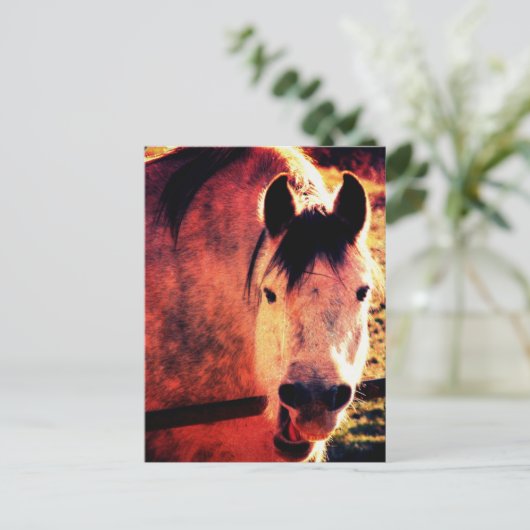 Laugh Postkarte (Stehend Vorderseite)