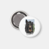 Laugh und Gallop On Magnet (Vorderseite/Rückseite)