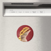 Laughing Bartded Dragon Magnet (In Situ (Geschirrspüler))