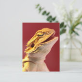 Laughing Bartded Dragon Postkarte (Stehend Vorderseite)