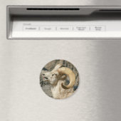 Laughing Bighorn Sheep Magnet (In Situ (Geschirrspüler))