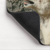 Laughing Bighorn Sheep Mousepad (Ecke)