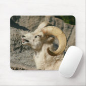 Laughing Bighorn Sheep Mousepad (Mit Mouse)