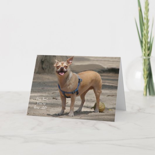 Laughing Chihuahua Birthday Card Karte (Vorderseite)