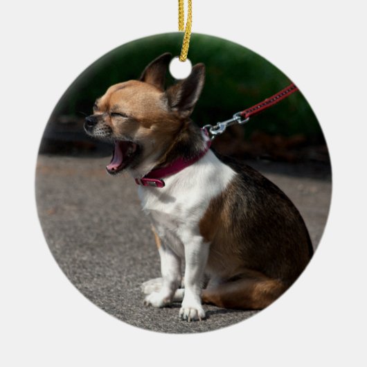 Laughing Chihuahua Keramikornament (Vorne)