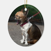 Laughing Chihuahua Keramikornament (Links)