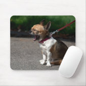 Laughing Chihuahua Mousepad (Mit Mouse)