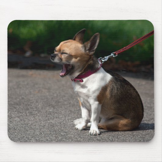 Laughing Chihuahua Mousepad (Vorne)