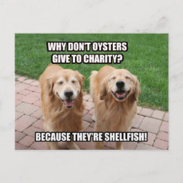Laughing Golden Retriever Funny Shellfish Joke Postkarte